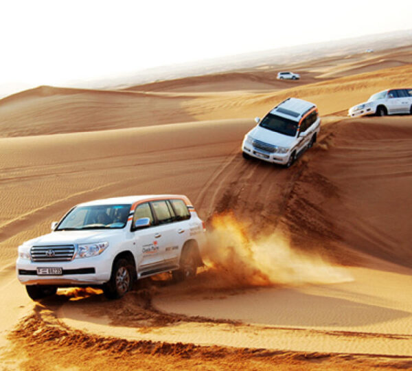 6-Day Ultimate Dubai & Abu Dhabi Combo Adventure - Dubai Destinations