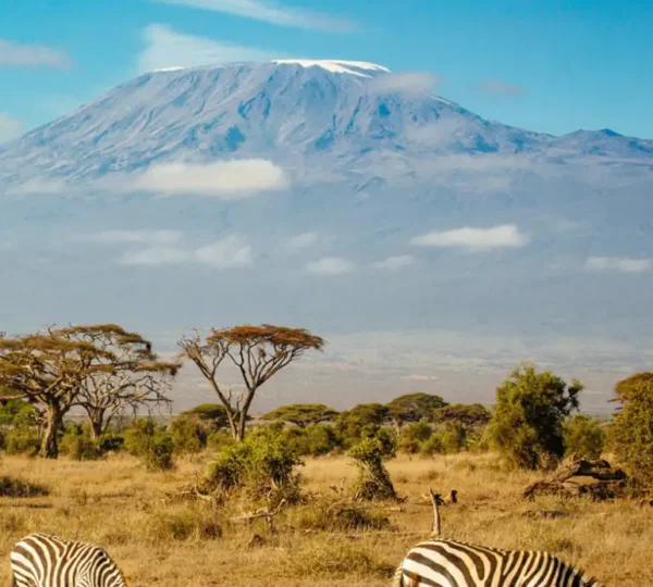 6-Day Masai Mara, Lake Nakuru & Amboseli Safari Expedition
