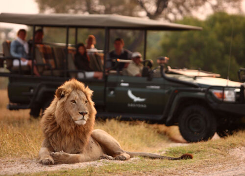 4-Day Mid-Range Safari: Lake Nakuru & Maasai Mara