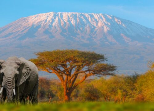 5-Day Mount Kenya Trekking Adventure – Chogoria Route (Optional Sirimon-Chogoria Traverse) - Kenyan Destinations