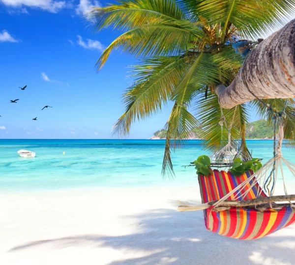 5-Day Romantic Seychelles Island Honeymoon Escape - Seychelles Destination