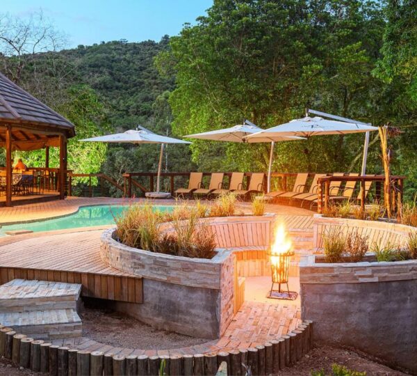 9-Day Kruger Wildlife Safari and Cape Town Discovery - South Africa Destinations