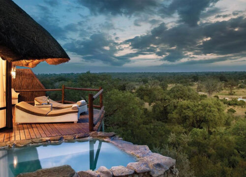 10-Day Cape Town Adventure: The Ultimate South African City Escape - South Africa Destinations