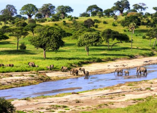 10-Day Budget Safari in Tanzania - Tanzanian Destinations
