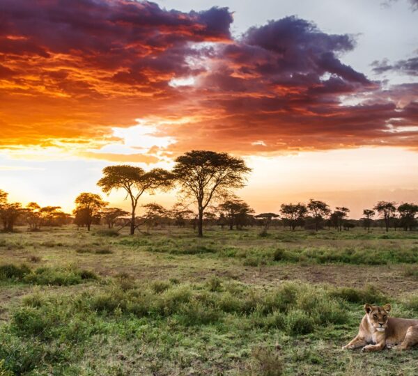 10-Day Budget Safari in Tanzania - Tanzanian Destinations