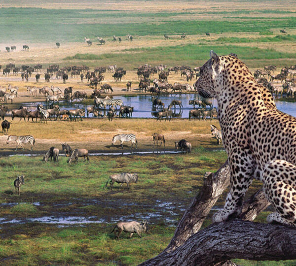 10-Day Budget Safari in Tanzania - Tanzanian Destinations