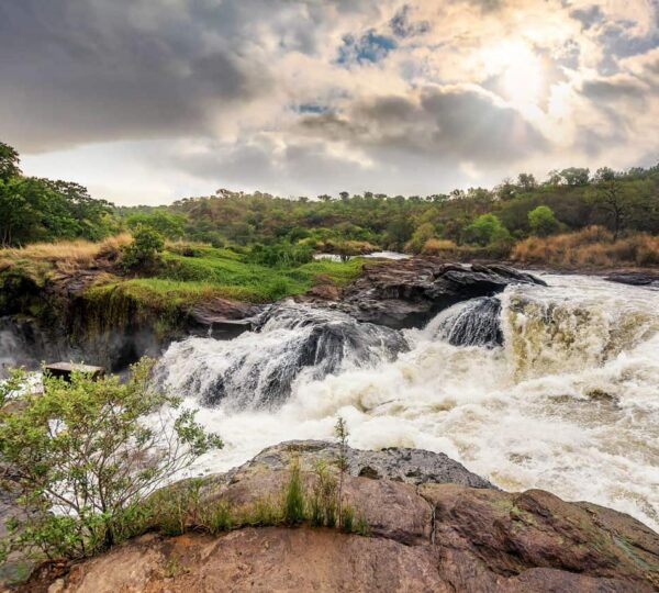 7 Days Best of Tanzania Luxury Safari - Tanzanian Destinations