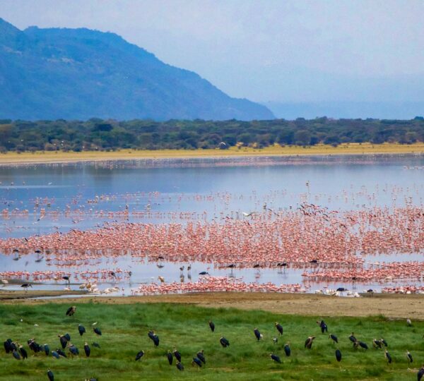 5-Day Zanzibar Cultural & Wildlife Adventure - Tanzanian Destinations