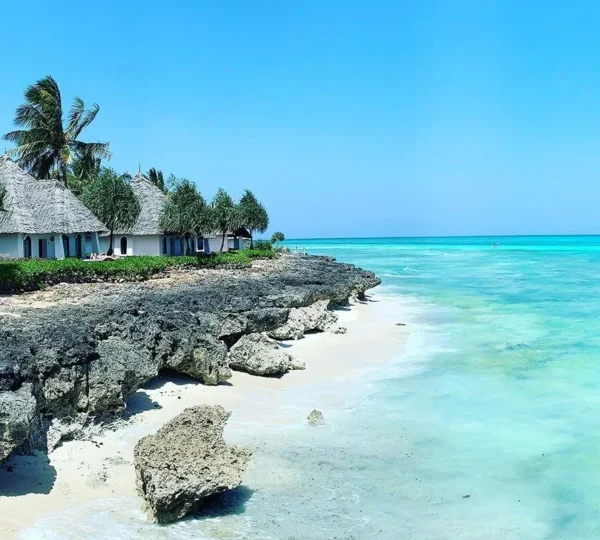 5-Day Zanzibar Cultural & Wildlife Adventure - Tanzanian Destinations
