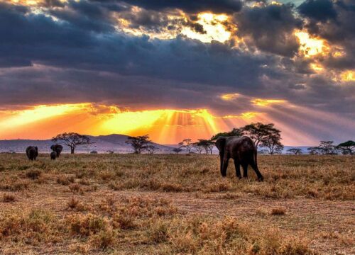 13-Day Tanzania Beach & Wildlife Safari Adventure - Tanzanian Destinations