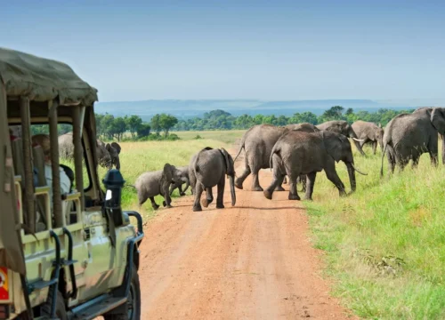 5-Day Tarangire, Serengeti & Ngorongoro Crater Safari - Tanzanian Destinations