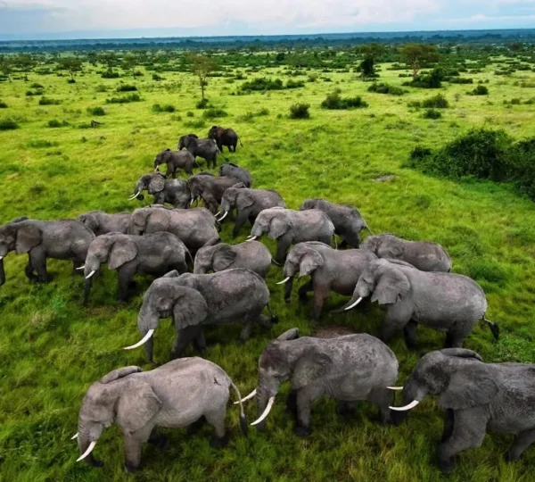 3-Day Murchison Falls Expedition - Uganda Destinations