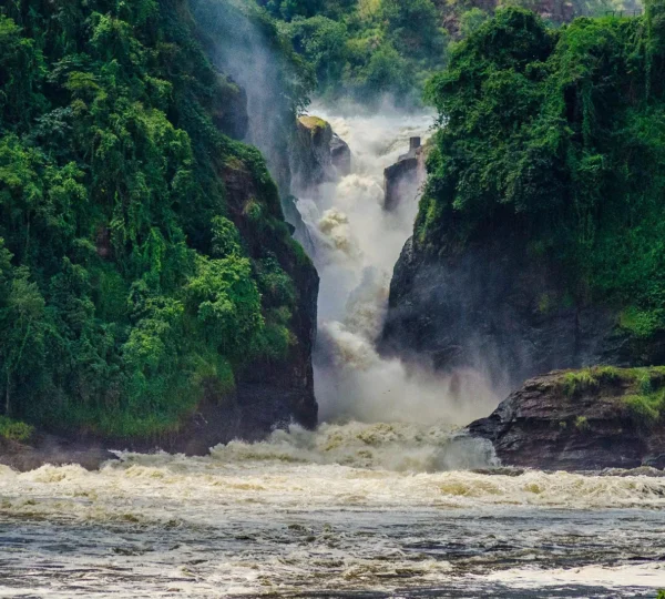 3-Day Queen Elizabeth Safari – Cruise, Game Drive & Chimpanzees - Uganda Destinations